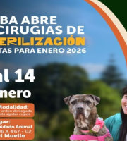 Bogotá habilita las primeras 520 cirugías gratuitas de esterilización para enero 2026. 